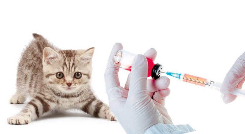 cepljenje živali in ljudi proti glistam